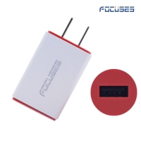 Focuses- Premium 5V/2.1A (EU/US Plug) Universal USB Wall Charger